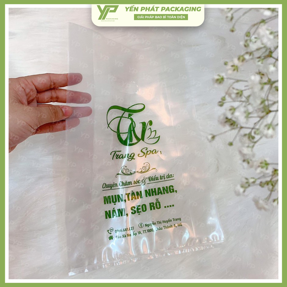 tui-hot-xoai-trong-suot-2