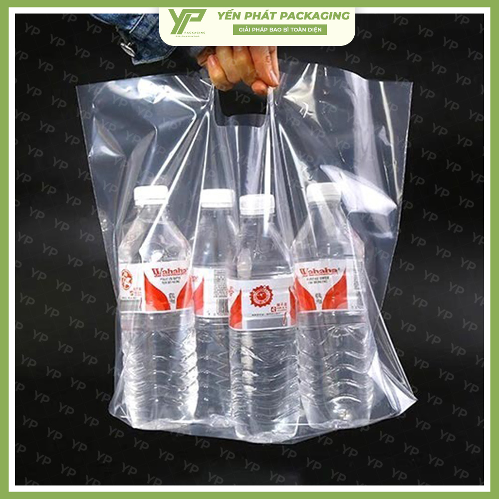 tui-hot-xoai-trong-suot-3